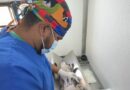 Gobierno de Pepe Chedraui continúa impulsando jornadas de bienestar animal en colonias de la capital