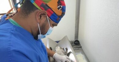 Gobierno de Pepe Chedraui continúa impulsando jornadas de bienestar animal en colonias de la capital