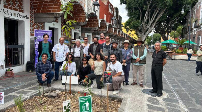 Pepe Chedraui promueve el cuidado y conservación del arbolado urbano en Puebla