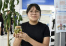 Propone estudiante BUAP aprovechar residuos de agave para crear fibras textiles