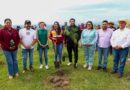 Impulsa Tonantzin Fernández acciones permanentes de reforestación en el Cerro Zapotecas