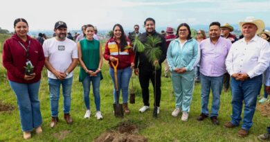 Impulsa Tonantzin Fernández acciones permanentes de reforestación en el Cerro Zapotecas