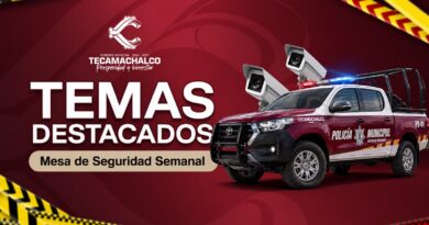 Mesa de Seguridad Semanal, resultados destacados del 29 de junio al 5 de julio