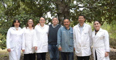 Crean nanomateriales en la BUAP para combatir plagas por gusano barrenador