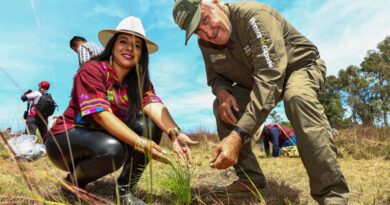 Con el respaldo del Gobierno del Estado, Tonantzin Fernández encabeza jornada de reforestación en el Cerro Zapotecas
