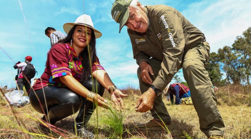 Con el respaldo del Gobierno del Estado, Tonantzin Fernández encabeza jornada de reforestación en el Cerro Zapotecas