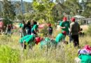 Impulsa gobierno de Pepe Chedraui la reforestación en Puebla capital con Raíces del Futuro