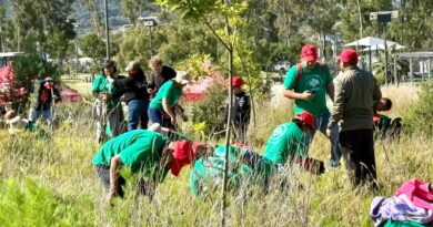 Impulsa gobierno de Pepe Chedraui la reforestación en Puebla capital con Raíces del Futuro